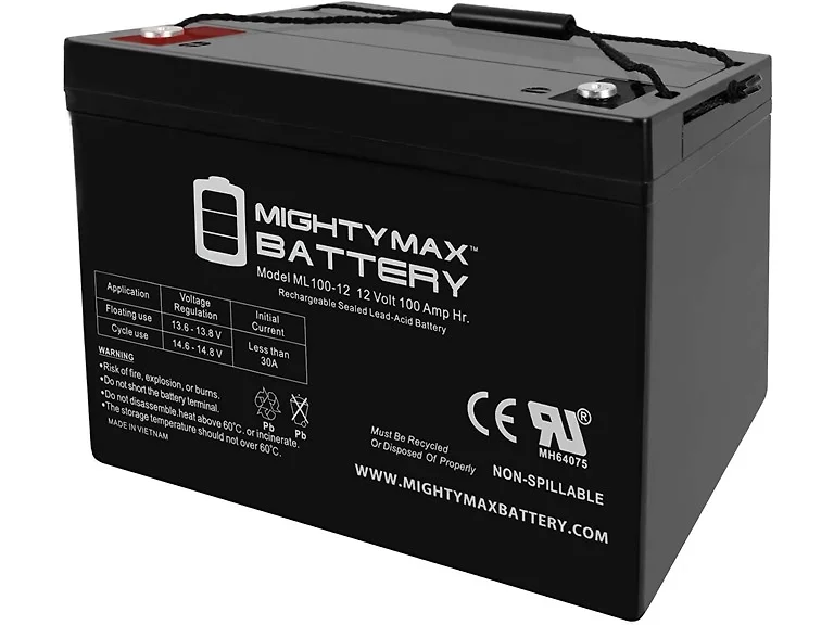 ML100-12, 12 Volt 100 AH, Internal