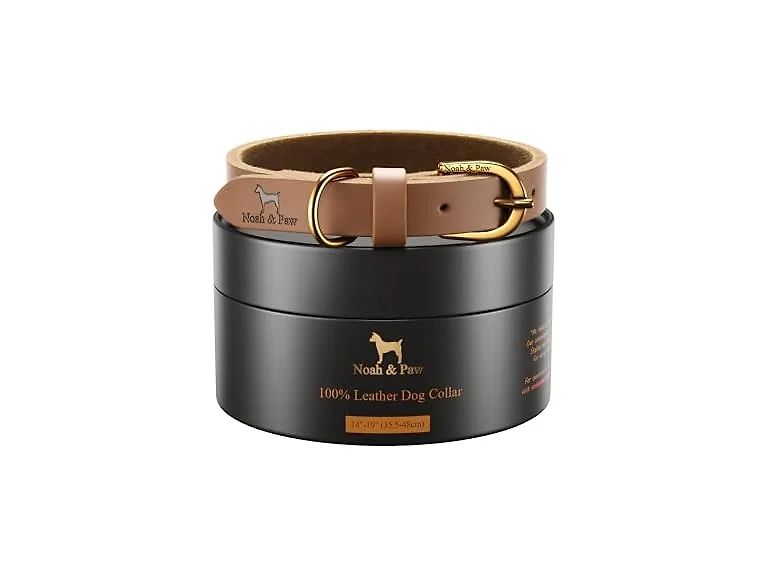NOAH & PAW Genuine Leather Dog Collar