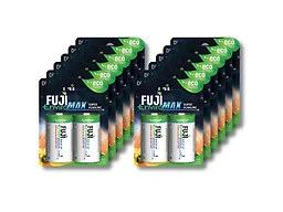 10041 Fuji Enviro Max Alkaline D P24 