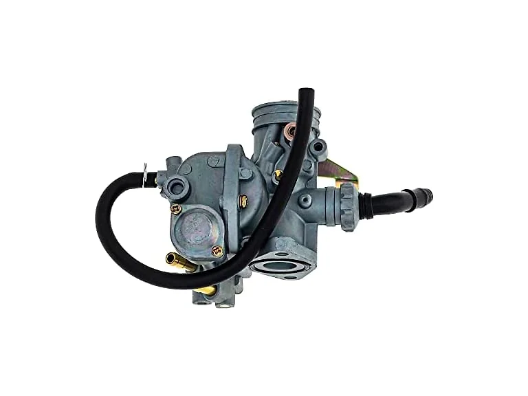 NICHE Carburetor Assembly for 1977
