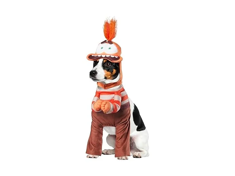 Rubies Disney Inside Out: Anxiety Pet Costume