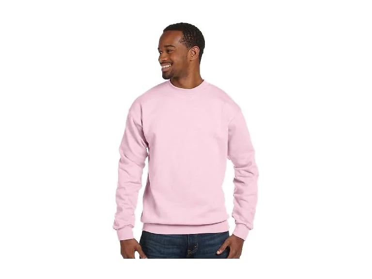 Hanes Men (XXL) ComfortBlend EcoSmart Sweatshirt