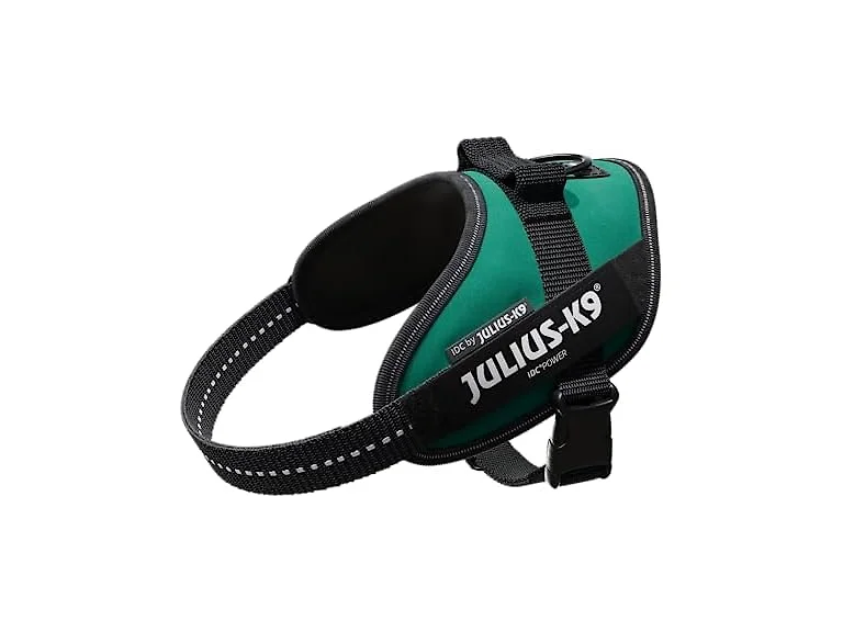 Julius-K9, 16IDC-DG-M, IDC Powerharness, Dog
