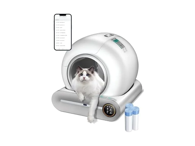 Automatic Self Cleaning Litter Box