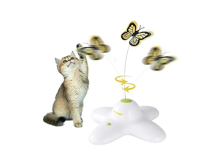ALL FOR PAWS Interactives Flutter Bug