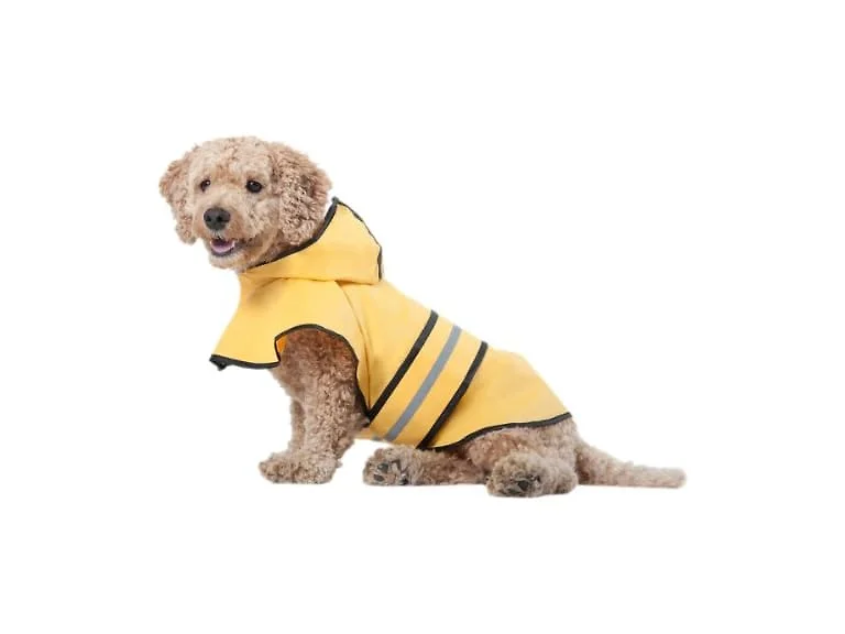 Fashion Pet SPOT Rainy Days Slicker