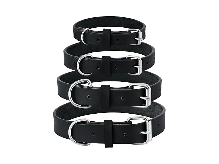 PBF Leather Dog Collar - Genuine Top