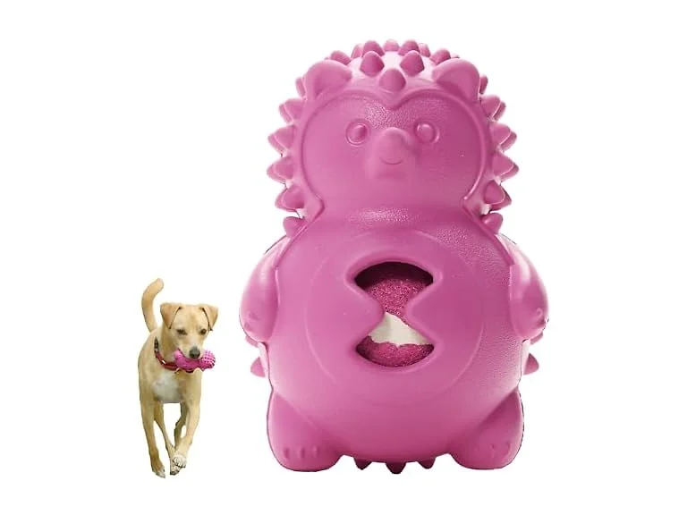 Friends Forever Squeaky Dog Toys with Tennis Ball