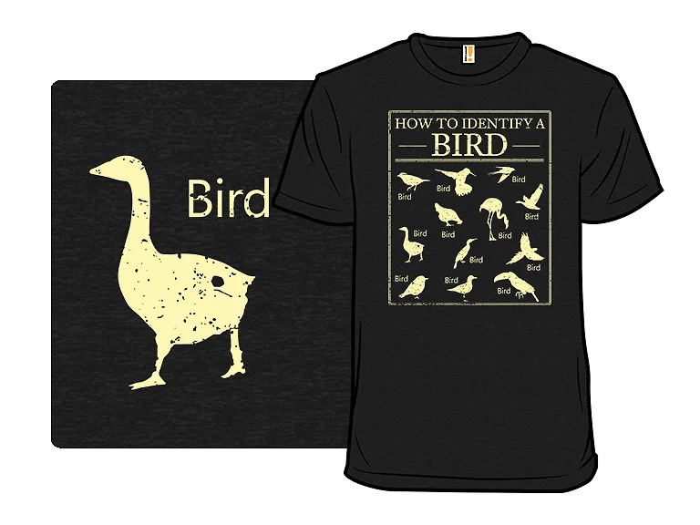 How To Identify A Bird