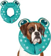 BigMouth Inc BigMouth Inc Frog Inflatable Recovery C