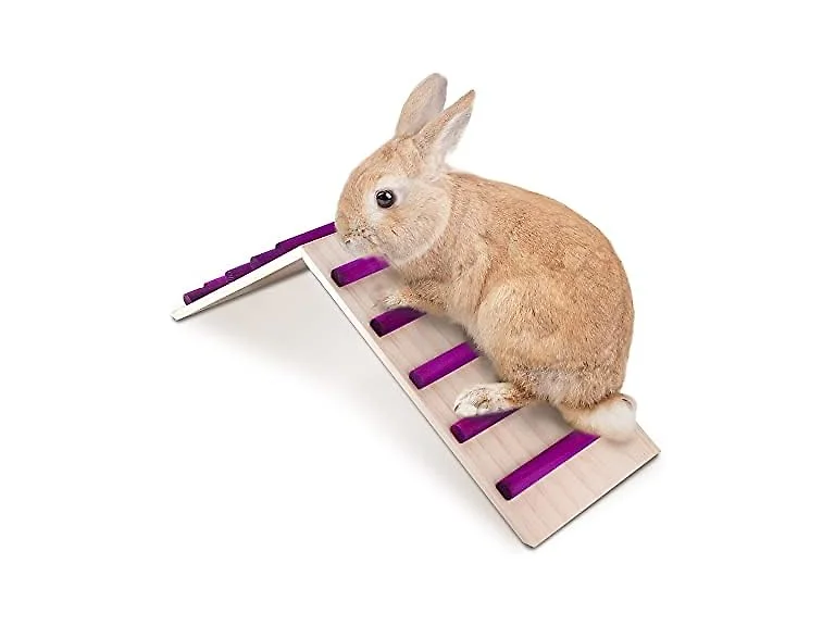 KREVEROY Wood Bridge for Small Animal Cage