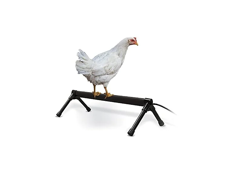 K&H Pet Products Thermo Heated Chicken