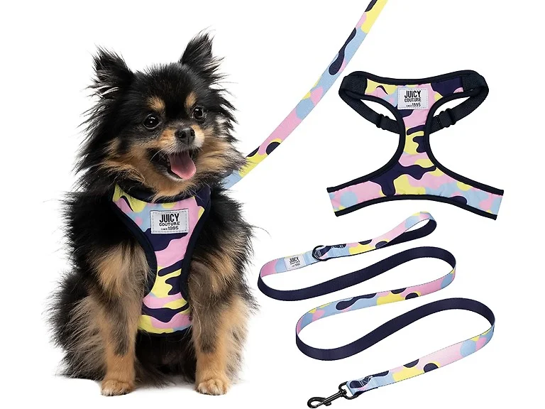 Juicy Couture Colorful Camo Dog Harness and Leash