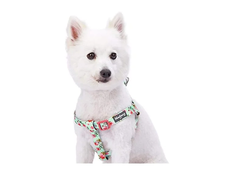 Blueberry Pet Essentials Step-in Spring Scen