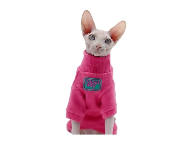 Sphynx Cat Clothes Autumn and Winter Thicken
