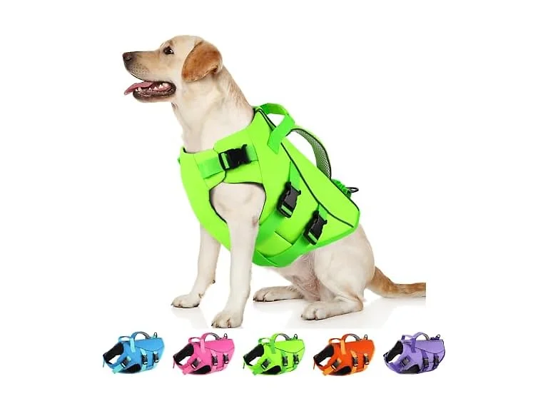 Dogcheer Dog Life Jacket with Double Rescue