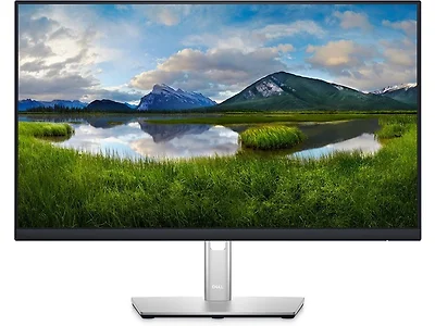 Dell P2422HE Monitor