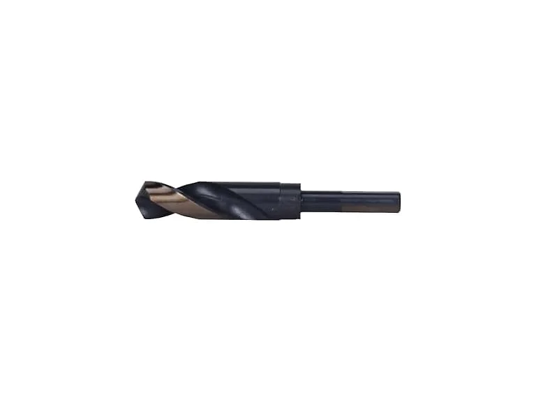 Century 44356 7/8" Silver and Demmin Bit