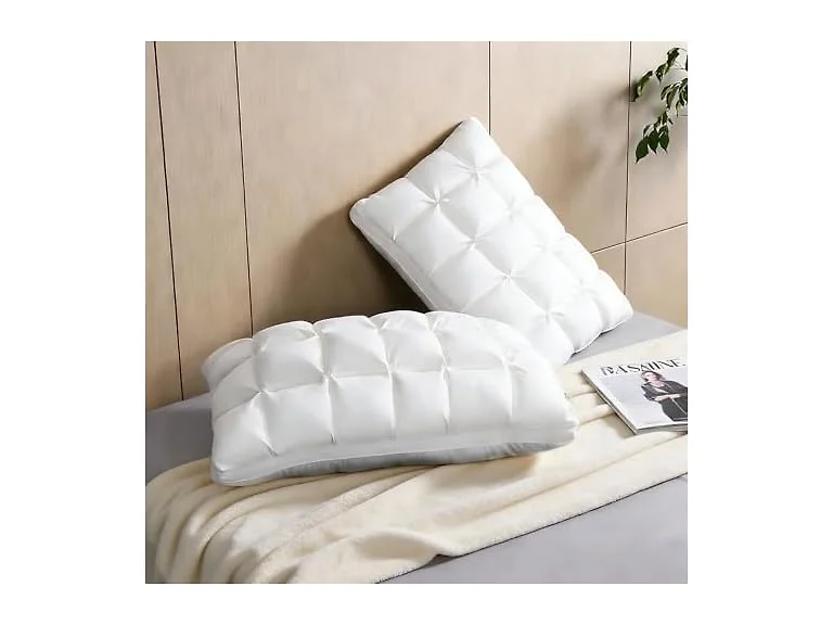 WQSPRING Cloud Color 2 Pack Suport Pillows Queen Size