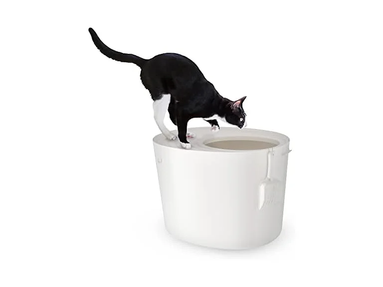 Iris Ohyama, Plastic Litter Box with Top Entr