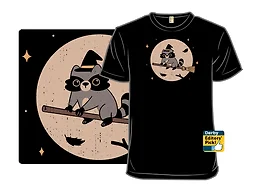 Raccoon Witch