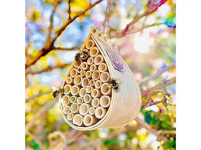 Pollinating Palace - Bee House