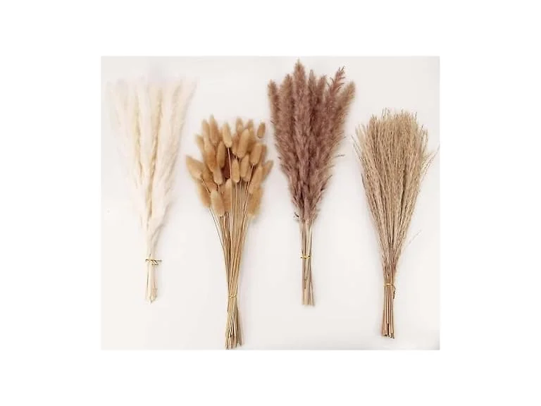 Dried Pampas Grass Decor 100 PCS