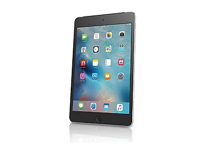 Apple IPAD.MINI.4-64GB-SPACEGRAY App (Open Box)