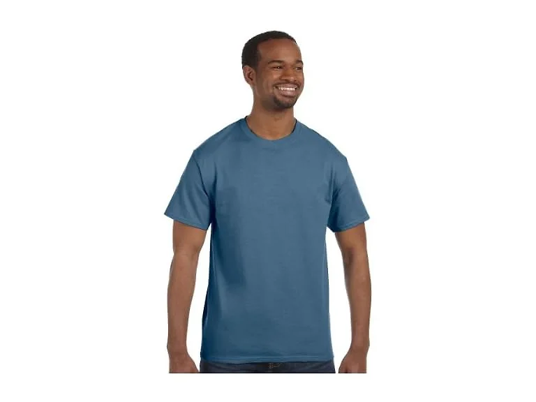 Hanes Men (4XL) Tagless 4X-Large T-Shirt