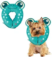 BigMouth Inc Frog Inflatable Recovery Collar, Comfort