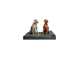 NOAH & PAW CL-LE-GR-XXL XXL NOAH & PAW Dog Bed - Class