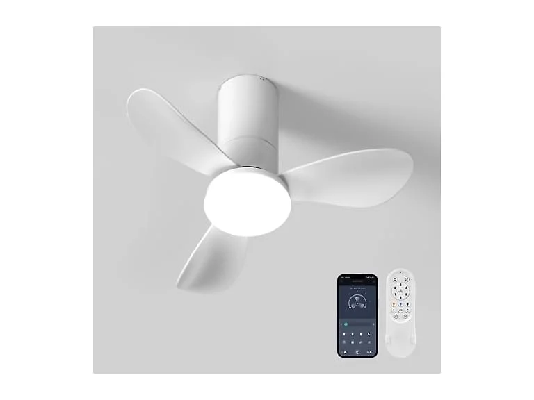 26 Inch Ceiling Fans with Lights