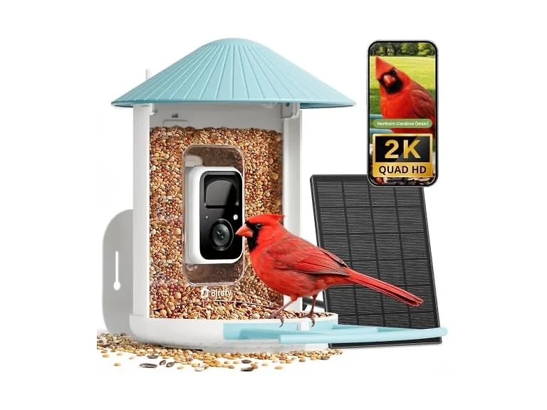 NETVUE by Birdfy Smart Bird Feeder