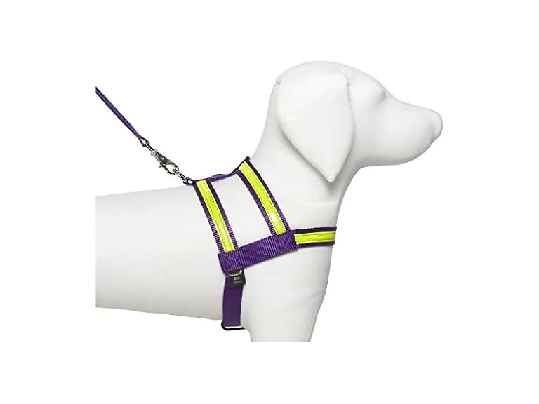 Co-Leash Purple Night Lite Harness
