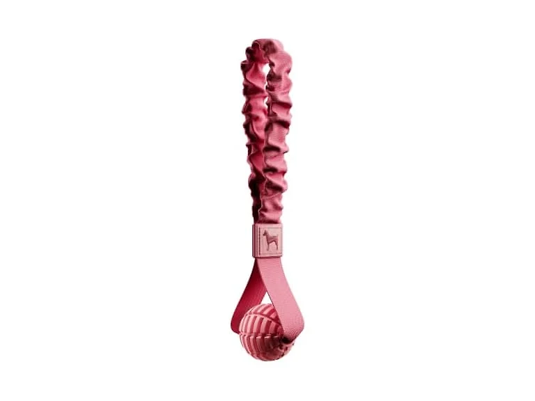 NOAH & PAW Luxury Dog Toy, TPU- Sling, Pink