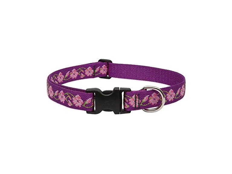 LupinePet Originals 1" Rose Garden 25-31" Ad