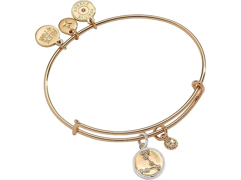 Alex and Ani Zodiac Charm Bangle (One Size)