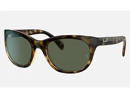Ray Ban Unisex  RB4216 Havana Sunglasses