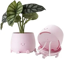 TOPOLA Happy Face Planter, 5.2 Inches Plastic Plant Pot, Self Watering Plant Pot with Drainage Holes for Indoor Outdoor, Succulent Pot, Funny Flower Pot, Sakura