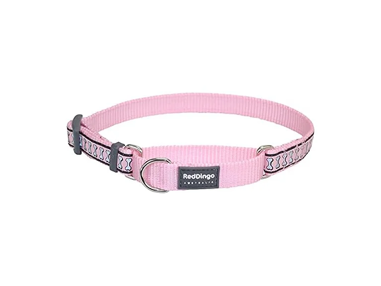 Red Dingo Reflective Martingale Dog Collar,