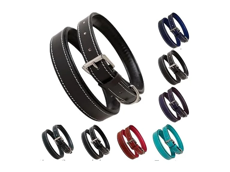 Majestic Ally Soft Leather Dog Collar, Multi