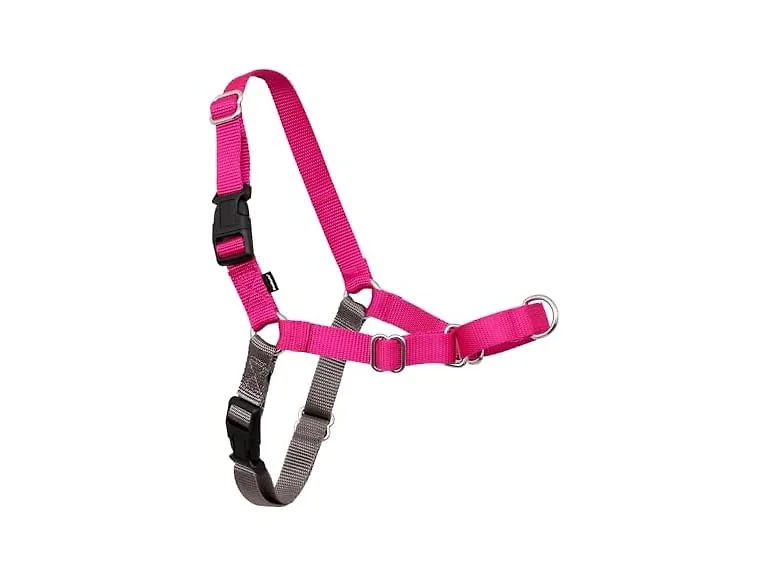 PetSafe Easy Walk Harness, No Pull Dog Harne