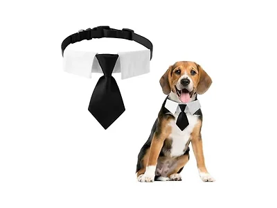 Adjustable Boy Dog Collar,Sturdy Pet Tie for