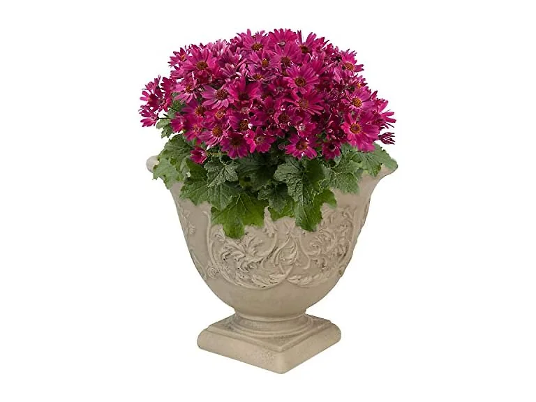 Sunnydaze 16" Darcy Round Plant Pot