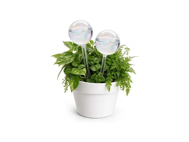 szoszo GAR-23 2-Pack Glass Self Watering Globes