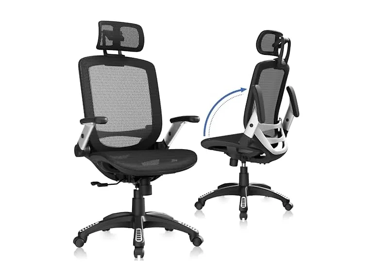 GABRYLLY GYB01 Ergonomic Mesh Office Chair