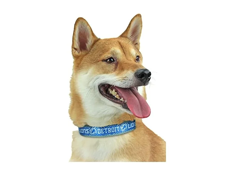 Zubaz NFL Team Adjustable Pet Collar for Dog