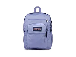 JanSport Laptop Backpack