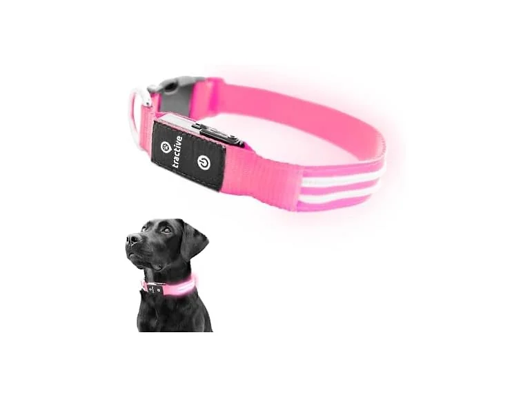 Tractive LED Light Up Dog Collar USB Recharge