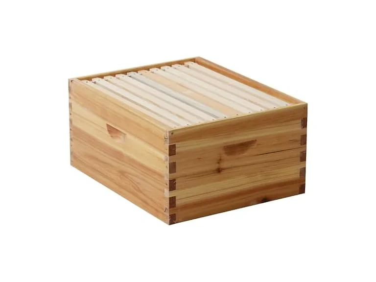 Walsport 10-Frame Langstroth Bee Hive